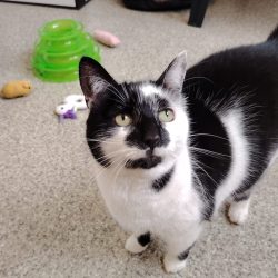 Luna