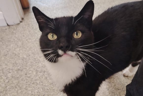 Tux