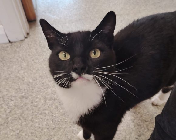 Tux
