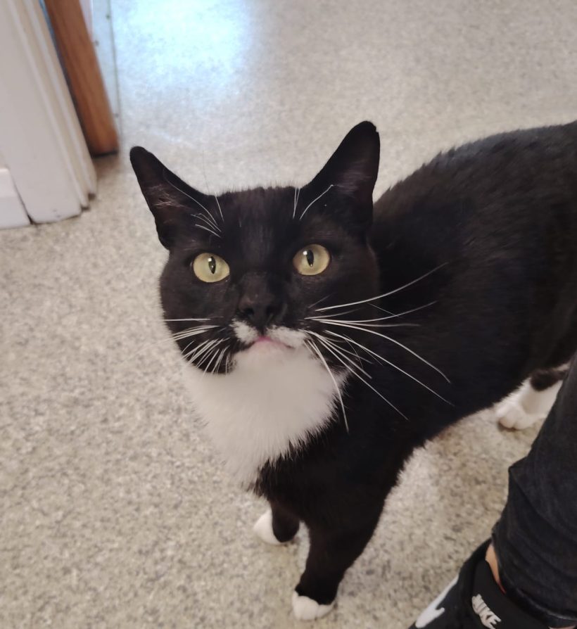 Tux