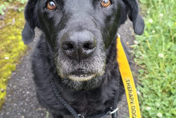 Oscar