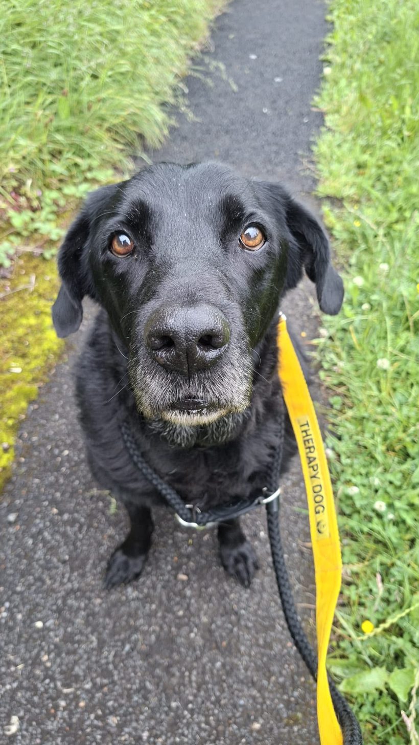 Oscar