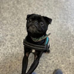 Walter
