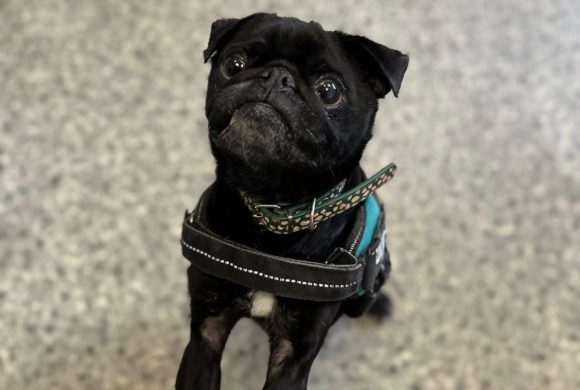 Walter