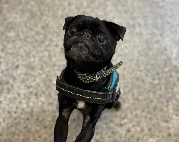 Walter