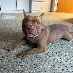 Winnie