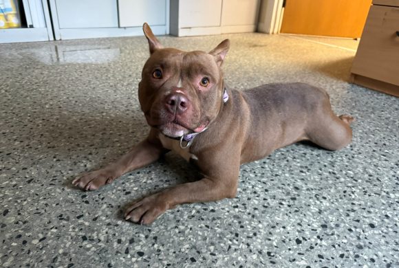 Winnie