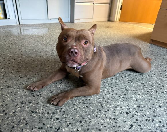 Winnie