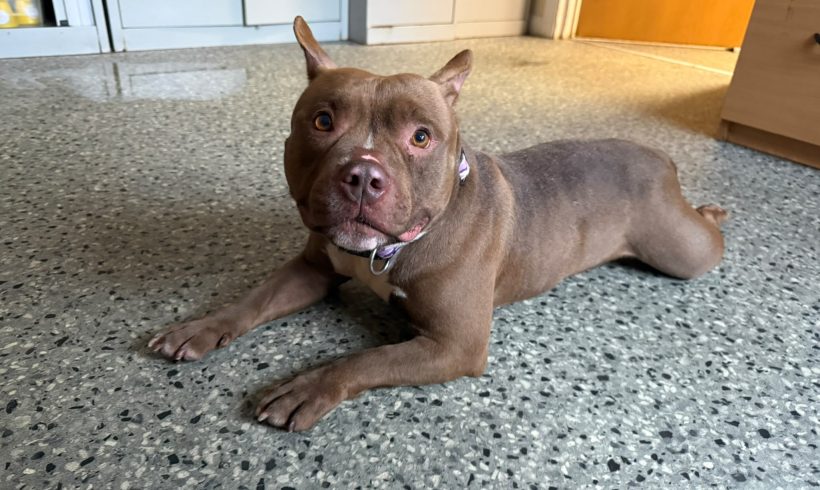 Winnie