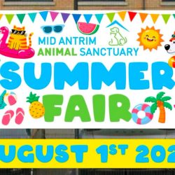 Summer Fair Saturday 1st August from 12-4pm