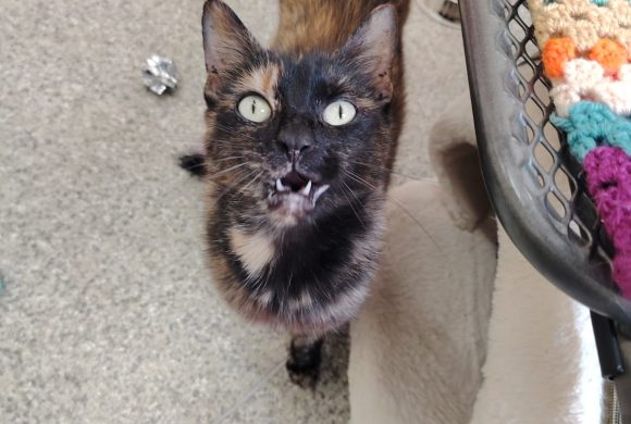 Maggie