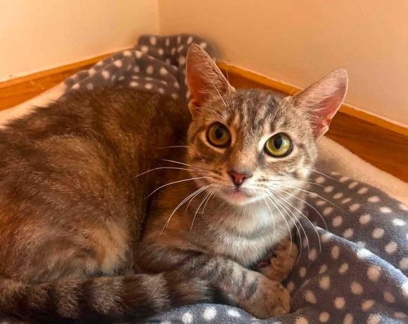 Martha