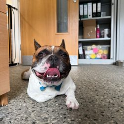 Benny