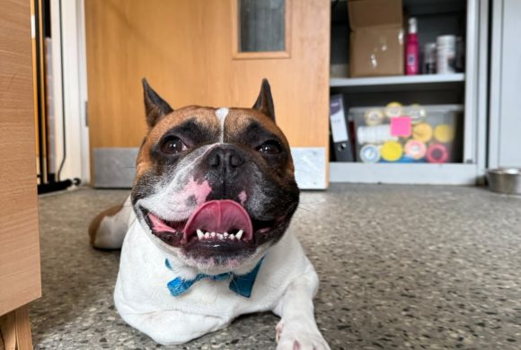 Benny