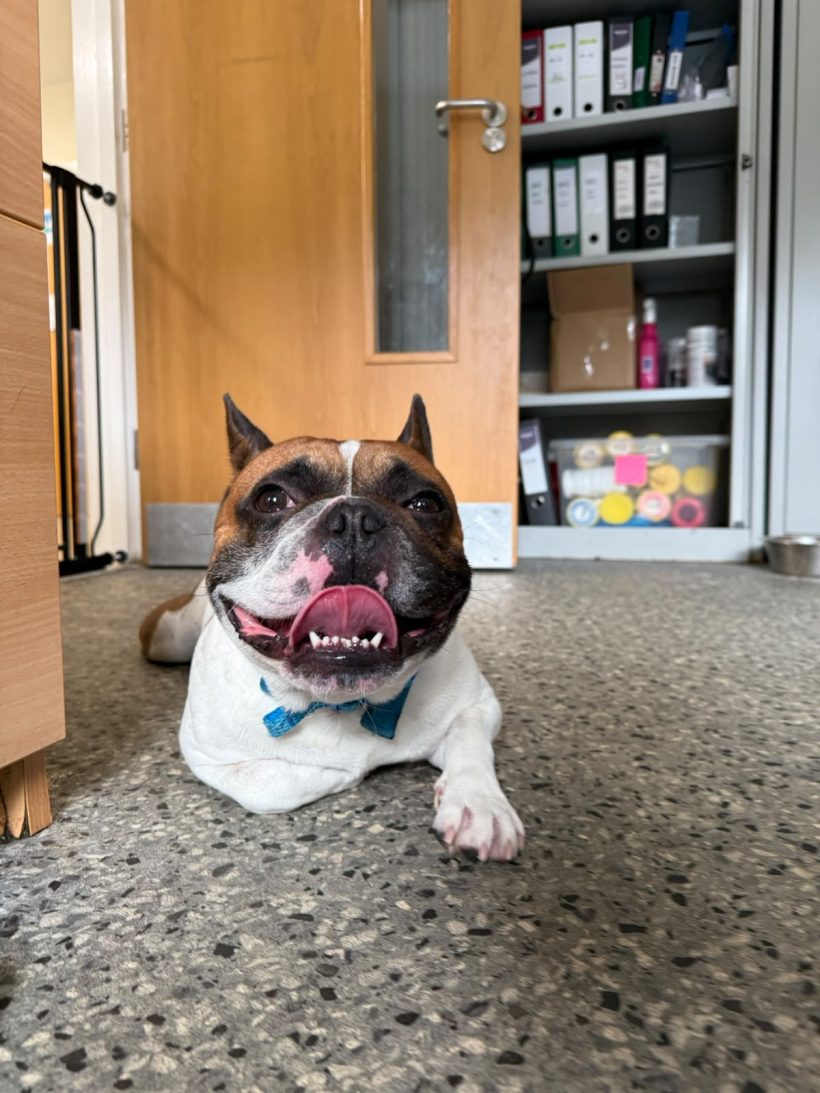 Benny