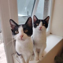 Flo & Mo