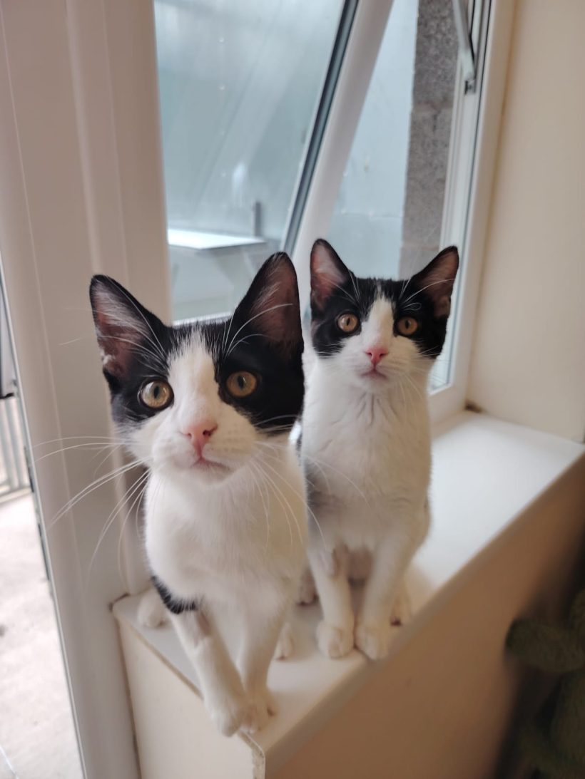Flo & Mo