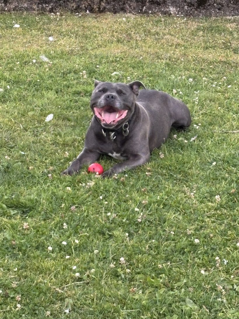 Zeus Zeus