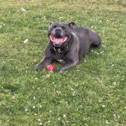 Zeus