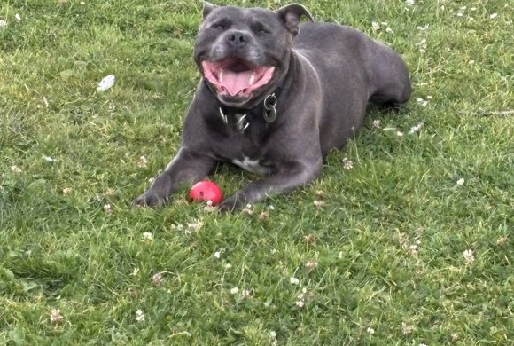 Zeus