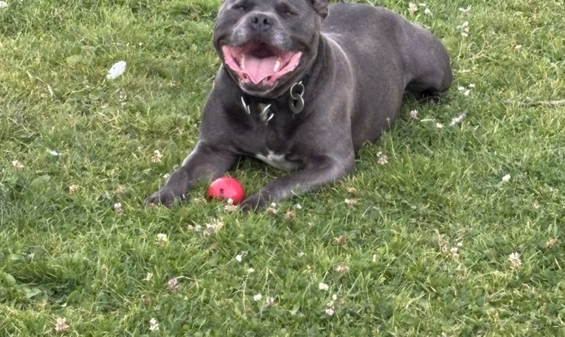 Zeus Zeus